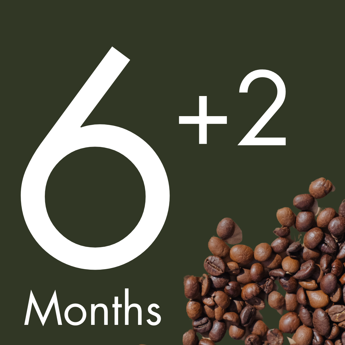 6 Months Coffee Bean Subscription