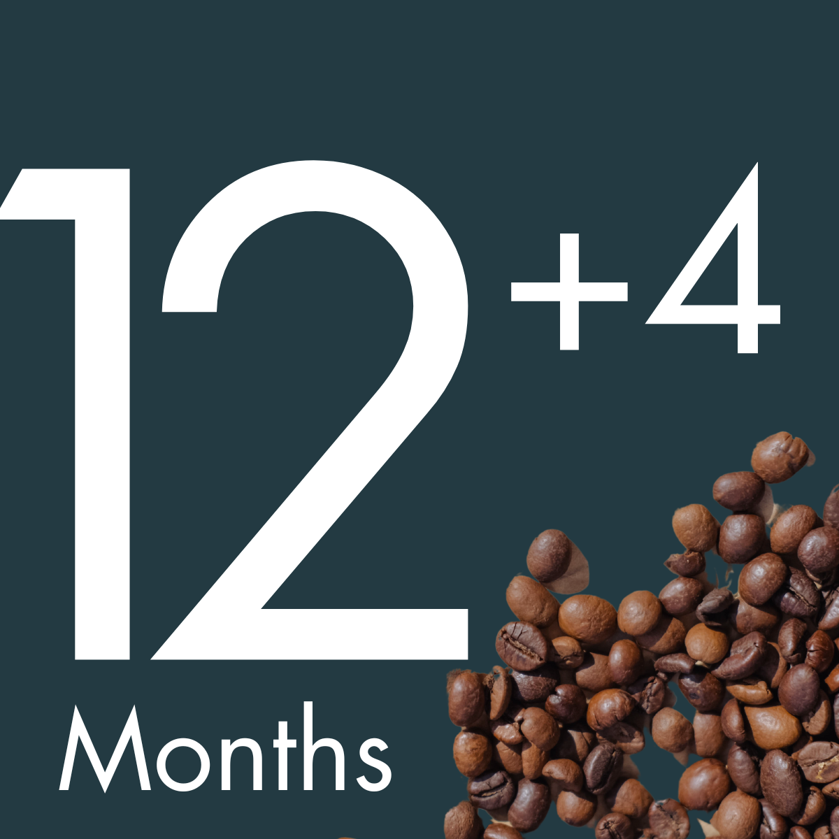 12 Months Coffee Bean Subscription